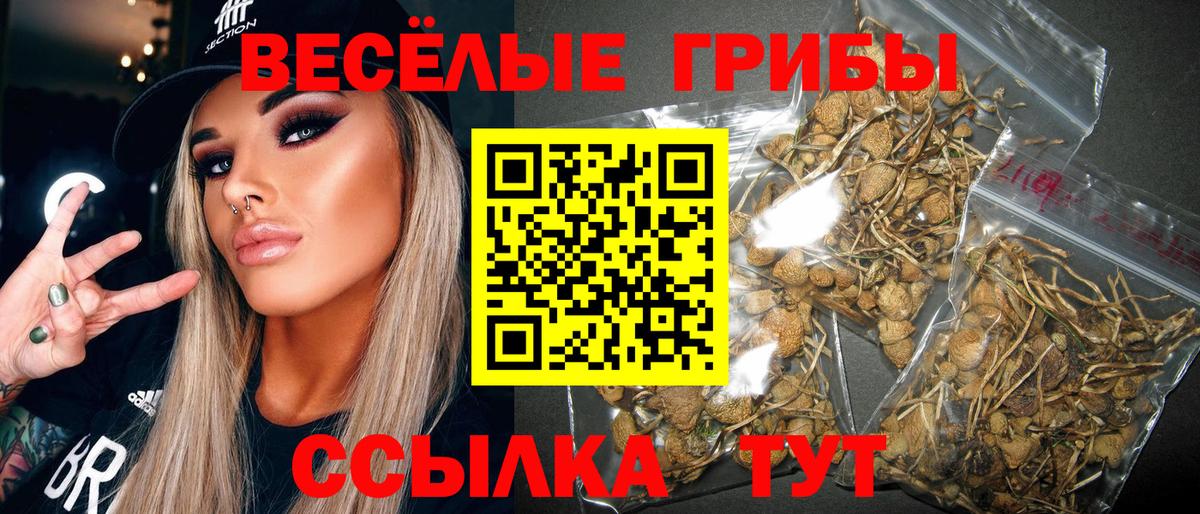 как найти   Галлюциногенные грибы MAGIC MUSHROOMS  Вход с VPN  Красноярск  Галлюциногенные грибы GOLDEN TEACHER 