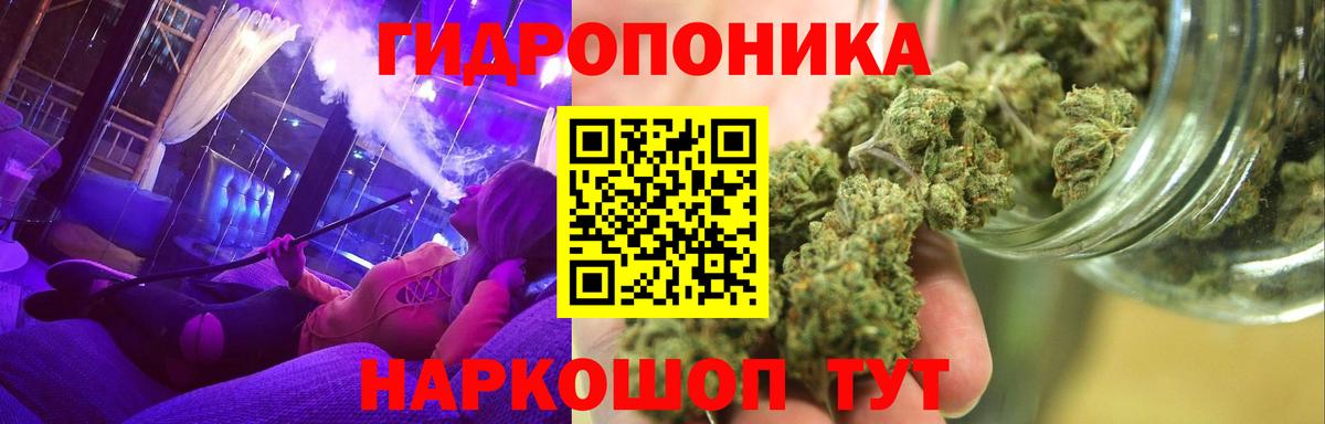 Каннабис семена Красноярск